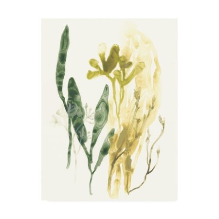Trademark Fine Art